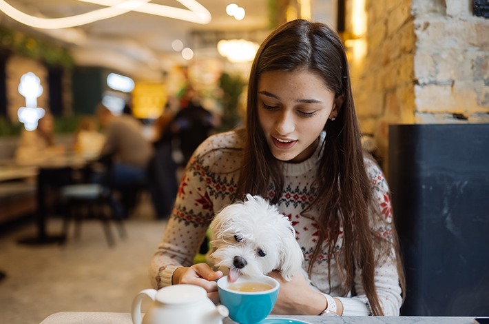 Secretaria do Turismo do Estado abre cadastro para destinos pet friendly